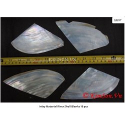 Inlay Material River Shell Blanks 10 pcs