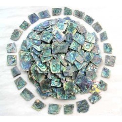 Green Abalone Shell Blank 100 Grams