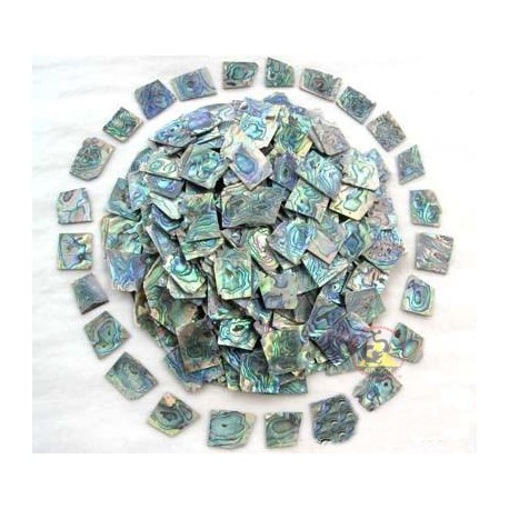 Зеленый Abalone Shell Пустые 100 граммов