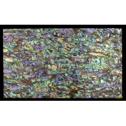 Perfect Green - Abalone Sheet / Veneer / Laminate