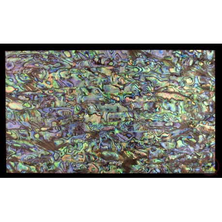 Идеальный зеленый - Abalone лист / Шпон / Ламинат