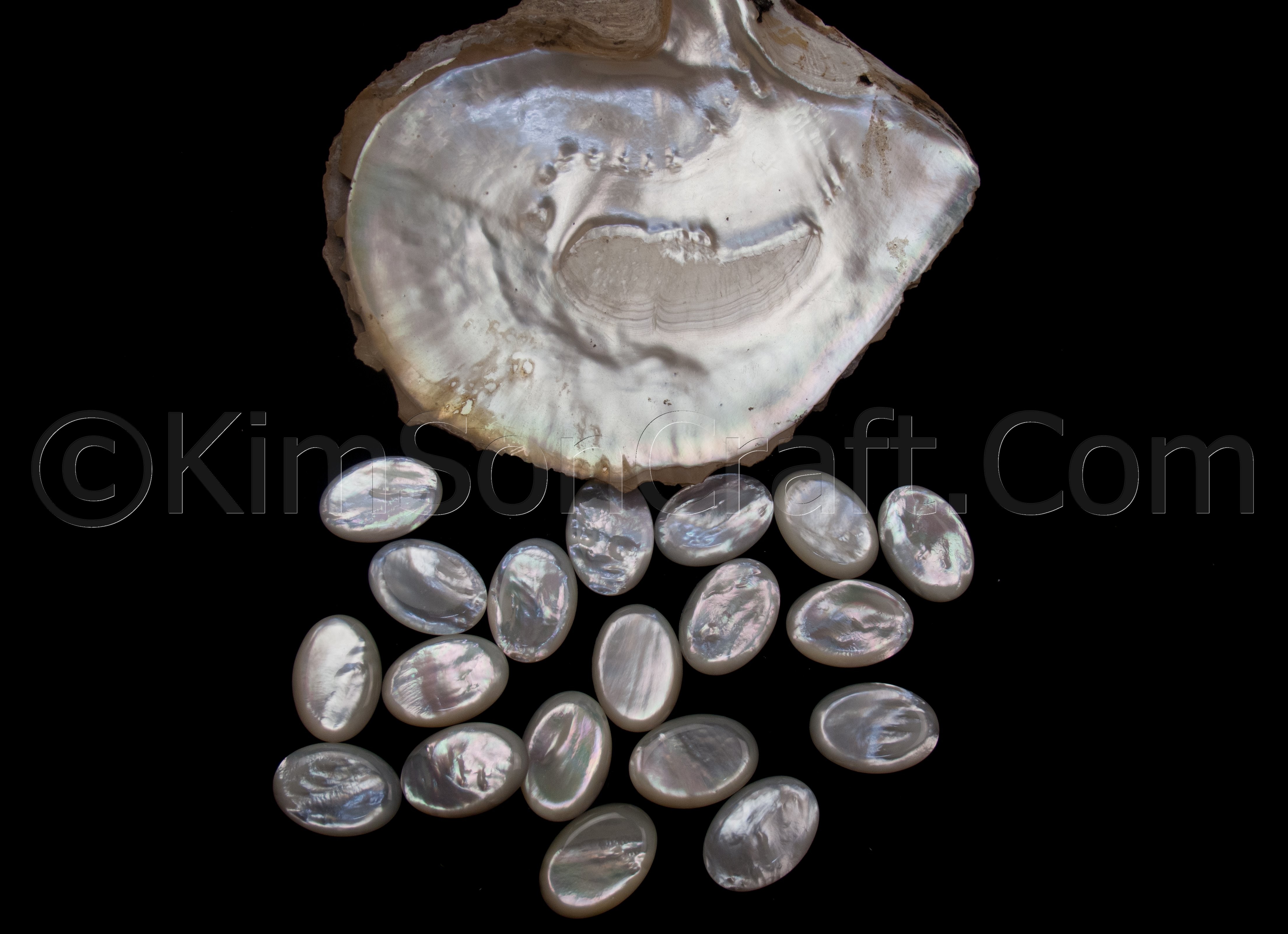 Mother Shell Mother Of Pearl Shell Pieces