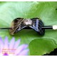 Organic Cow Horn - Oval - Black and Yellow - Earrings