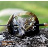 Flower Organic Horn Hair Barrette