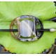 Organic Cow Horn - Oval - Black and Yellow - Earrings