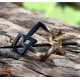 Organic Cow Horn - Oval - Black and Yellow - Earrings