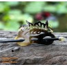 Organic Horn Hair Barrette