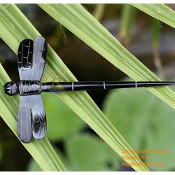 BamBoo Organic Horn & Bone Hair Stick