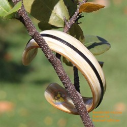 Natural circle horn necklace - Model 0009