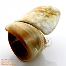 Natural circle horn necklace - Model 0009
