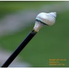 Shell Organic Horn Hair Stick