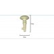 Розетка из Буффало Bone