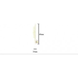 Escutcheon From Black Horn