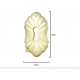 Escutcheon From Buffalo Bone