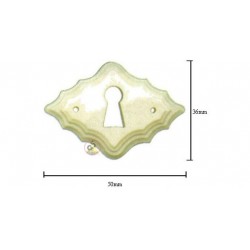 Розетка из Буффало Bone