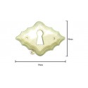 Escutcheon From Buffalo Bone