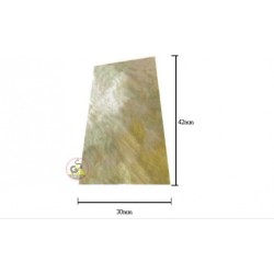 Escutcheon From Black Horn