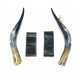 Polished Pair Horns