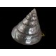 Большой Подлинная трохусы Shell (Niloticus) - Seashell Коллекционная