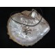 Exquisite Handmade Natural Shell Pendant Necklace