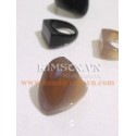 Horn ring 