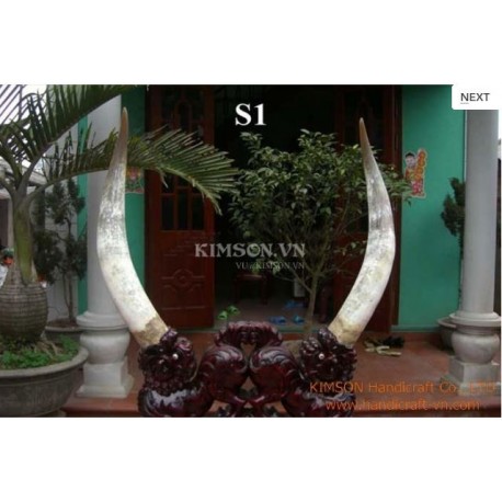 Volle paar Supper Büffelhorn für Schwarzpulver-Halter