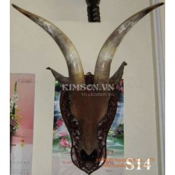 Full Pair Supper Buffalo Horn for Black Powder Holder