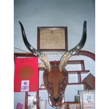 Full Pair Supper Buffalo Horn for Black Powder Holder