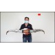 Sừng bò cặp dài từ 1m2 đến 1m8